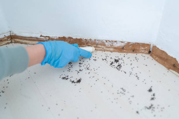 Best Pest Control for Multi-Family Homes  in Kingston Estates, NJ